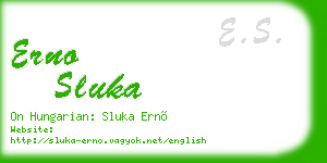 erno sluka business card